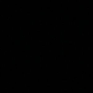 Meet your Posher, Mallory